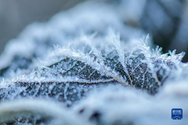 微视界——小雪