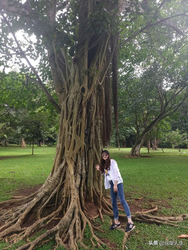 印度洋上的一滴泪——斯里兰卡游记二