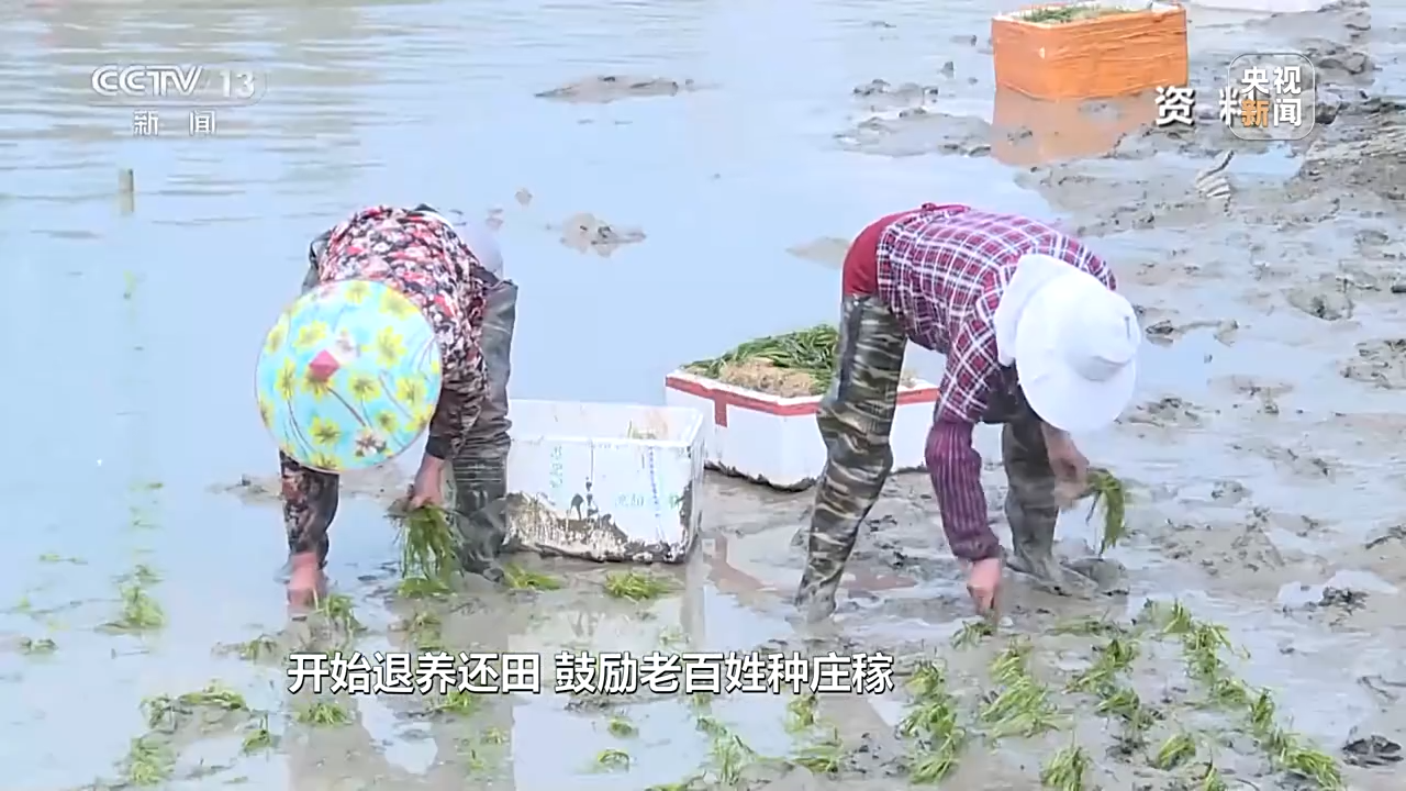 新朋友落户“浙”里 背后有怎样的故事？