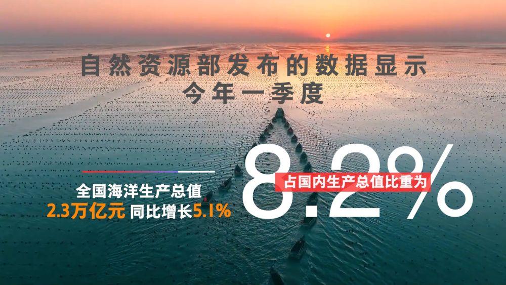 向海图强！海洋经济“扬帆远航”