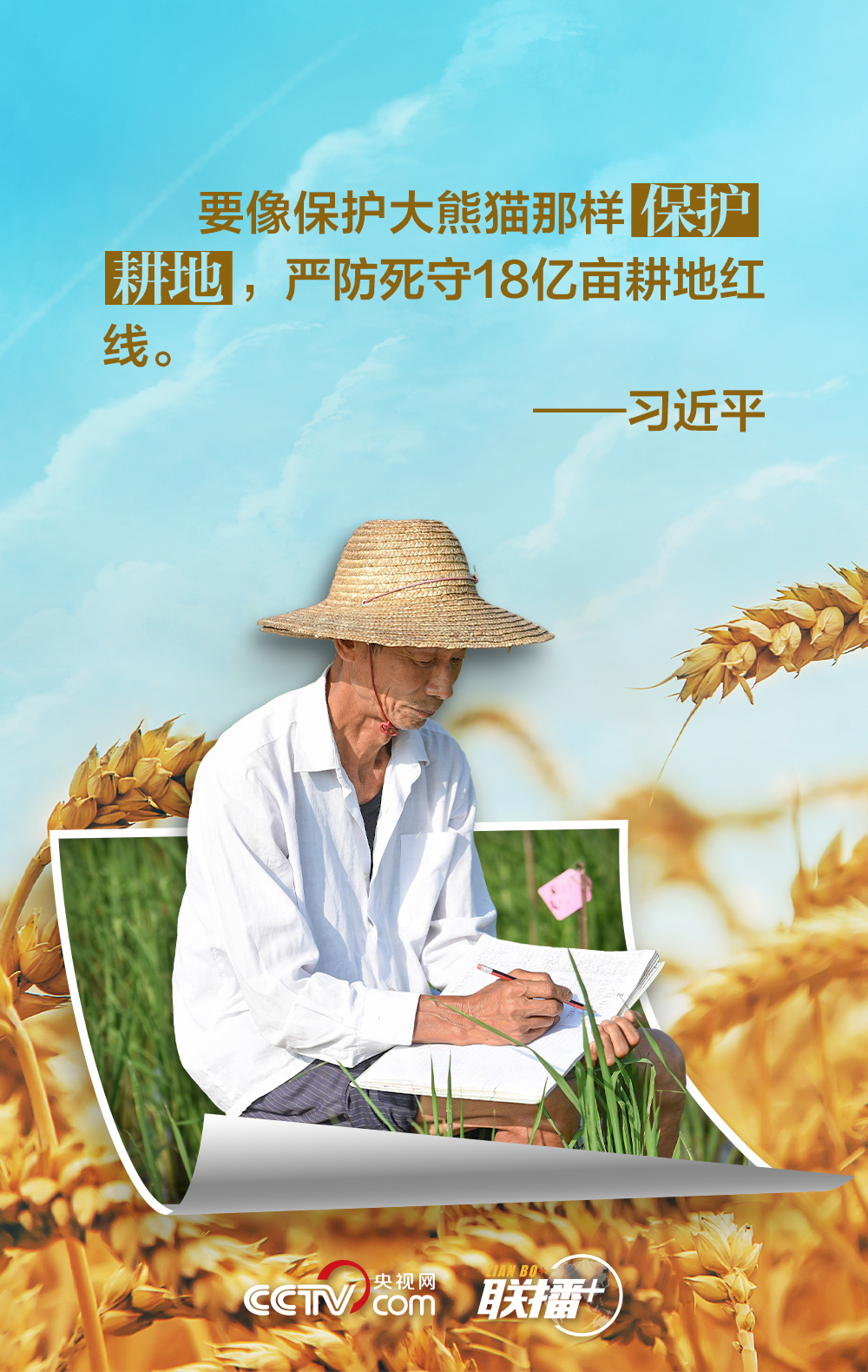 联播+｜夏收时节 习近平“粮”言话农桑