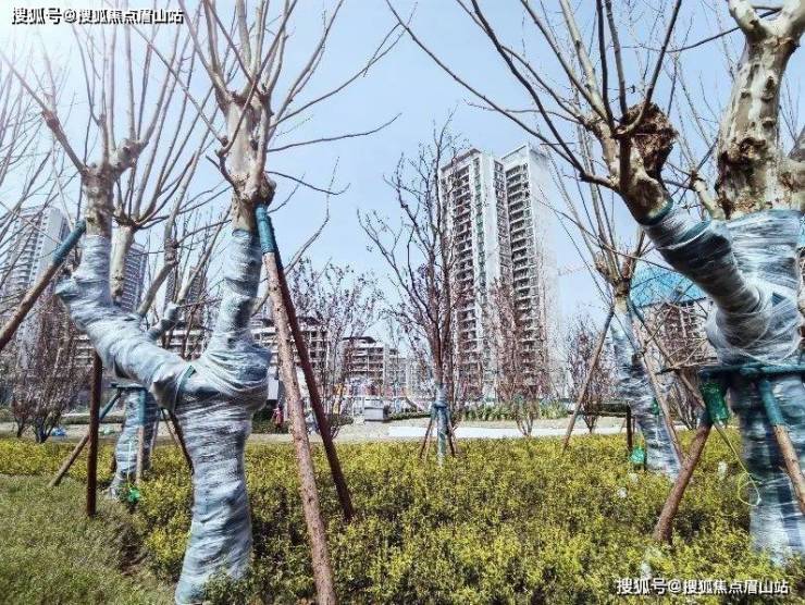 龙泉十陵能买不-华润置地时代之城离地铁口远不远周边生活方不方便-售楼部电话