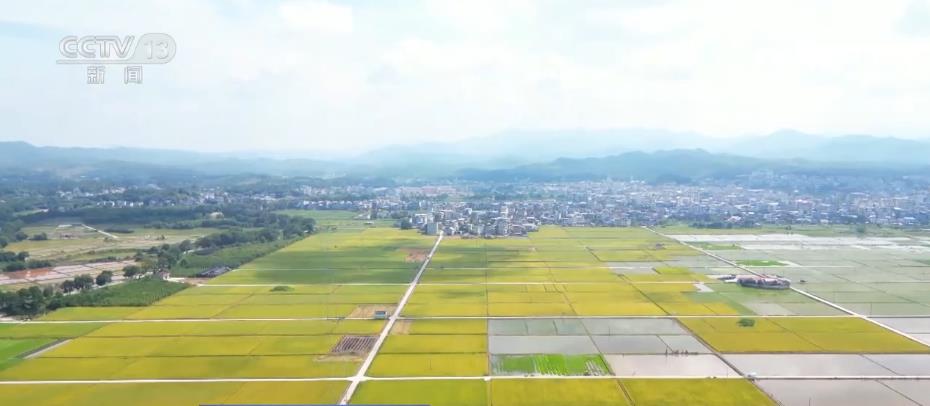 看见美丽中国·从水浊山荒到水绿山青 生态红利不断释放