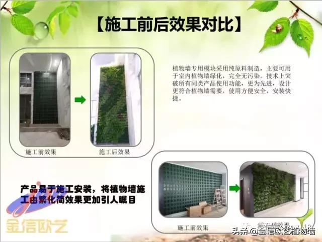 金信欧艺植物墙施工流程及工艺