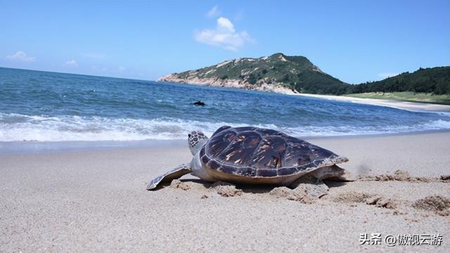 双月湾旅游攻略：有这么一篇，旅途就足够愉快了