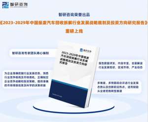 汽车拆解行业前景(2023年报废汽车回收拆解行业发展现状、市场前景及投资方向报告)