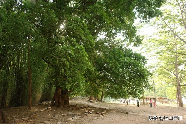 通往云南景谷的高速公路已在建，去这个美丽县城的路，将不再难行